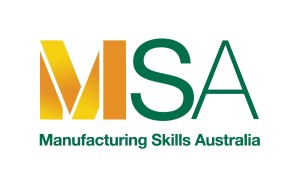 MSA logo nb